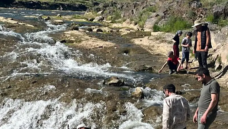 İnci Kefali Göçüyle Doğa Harikası: Turistler Akın Akın Geliyor