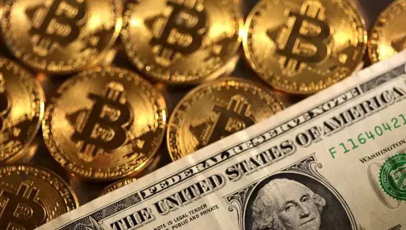 Kripto Fonları, Piyasa Düşüşünde Neden 4,75 Milyar Dolar Kaybetti?