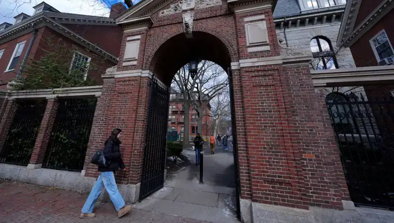 Harvard Profesörleri, Trump Yönetimine Karşı Tazminat Davası Açtı