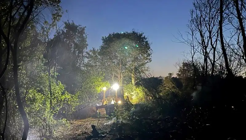Edirne'deki Büyük Orman Yangını Sonunda Kontrol Altına Alındı
