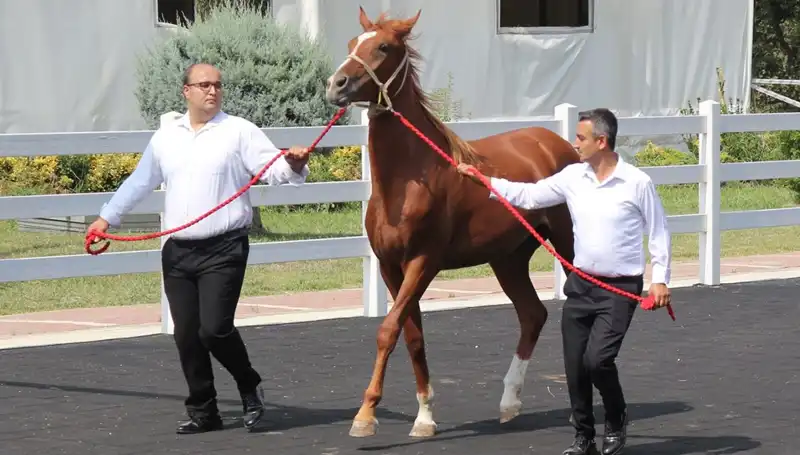 Yeni Teknoloji ile Taşkınların Önüne Geçen "Taşkın Kral" İlk Defa Göründü