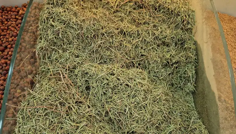 Yaz Aylarında Artan İnternet Satışı: Ölüme Kadar Götüren Ürünler