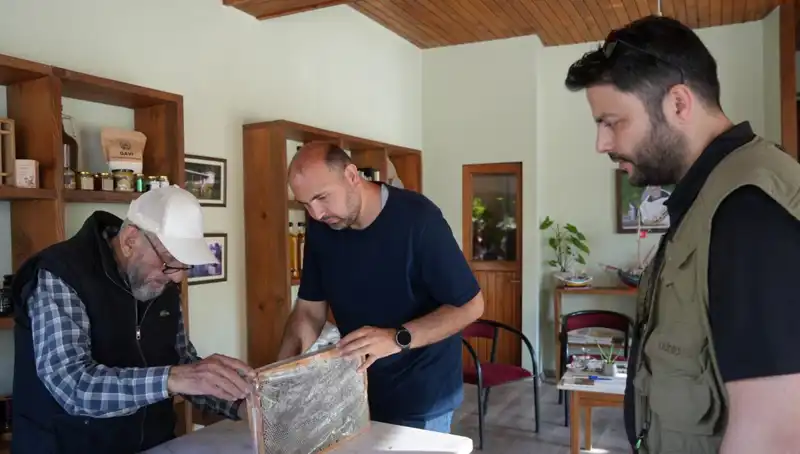 Bir Çay Kaşığıyla Hayatınızı Değiştirecek: Hem Şifa Hem Zehir