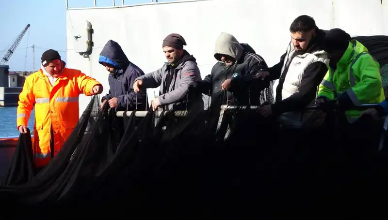 Hamsi Oltaları Boş: Balıkçılar Tekne Başında Mağdur Oldu