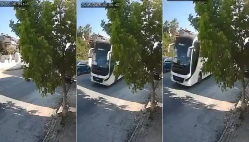 Yolda Yatan Köpeği Ezip Giden Araç Tanıkların Şokunu Uğrattı