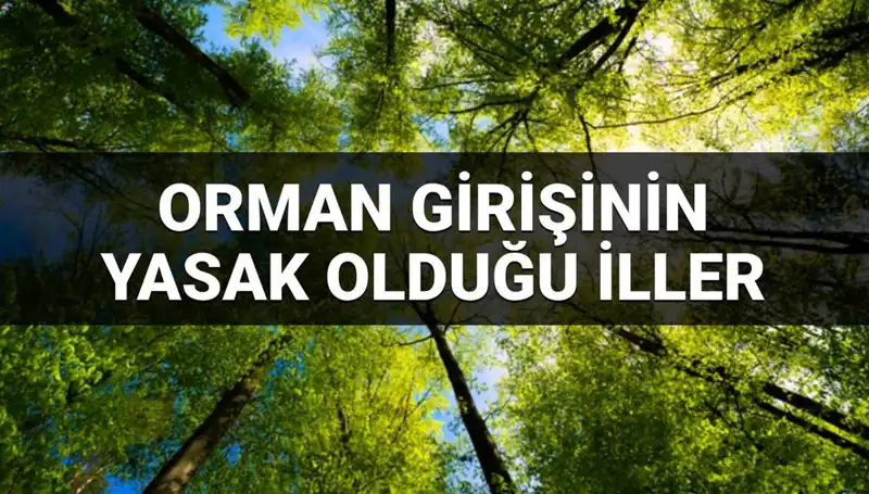 2025'te Ormana Giriş Yasağı Olan İller ve Sebepleri