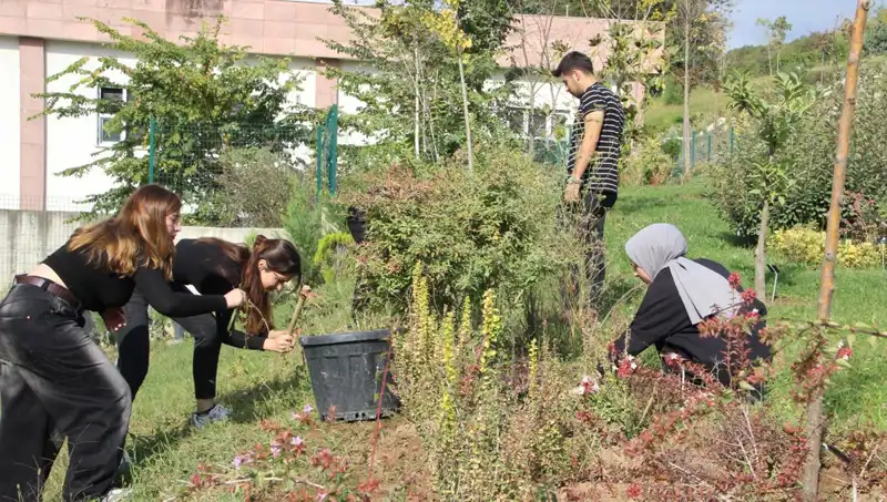 Düzce’nin Yıldızı: Hayalden Gerçekliğe Ulaşan Harika Bir Başarı Hikayesi