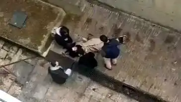 Kampüste Köpek Panik Yaratırken Genç Kız Düşerek Yaralandı