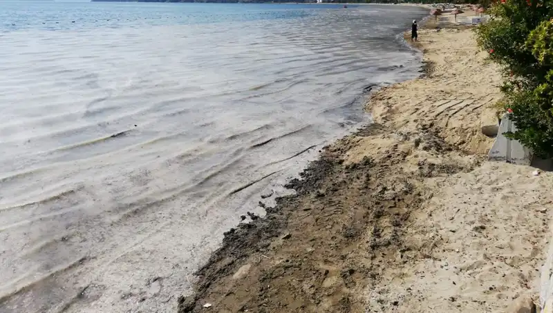 Müsilajla Mücadelede Çarpıcı Rakam: 268 İşletme Kapatıldı
