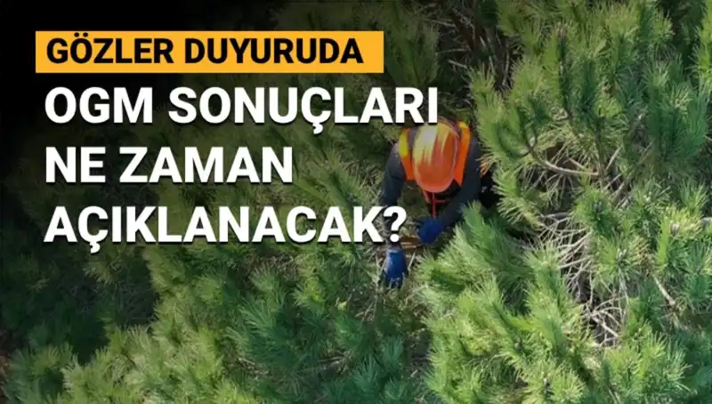 OGM Personel Alımı Sonuçları İçin Gözler OGM'de: 3.477 Sözleşmeli Pozisyon!