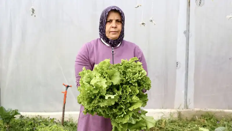 Emekli Olduktan Sonra Hayallerini Gerçekleştiren Girişimcinin Hikayesi