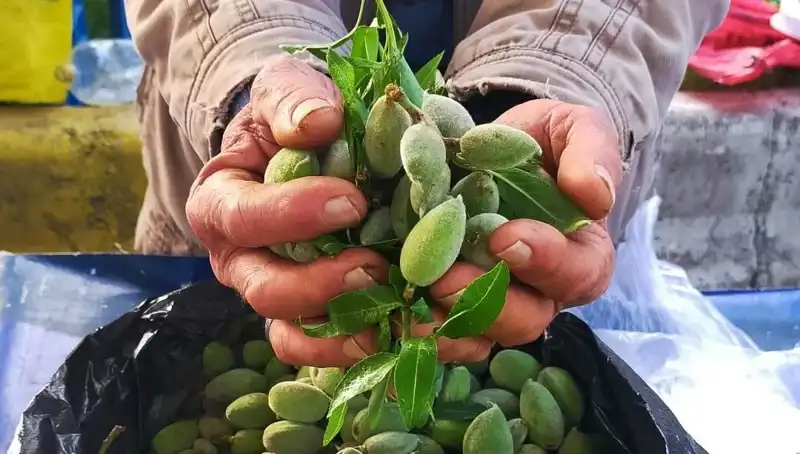 Baharın Gelişiyle Fark Yaratan Sebze: Kilosu 250 TL!
