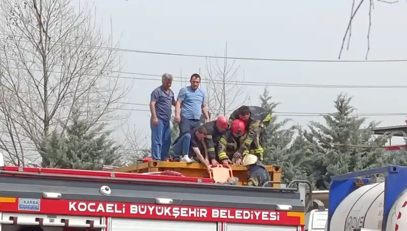 Tehlikeli Madde Taşıyan TIR, Tankine Düştü: Ağır Yaralı Hastaneye Kaldırıldı!