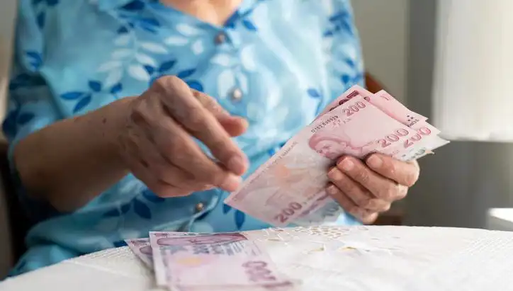 Dolandırıcılar Emeklileri Hedef Alıyor: Önlenebilir Kayıplar ve Öneriler