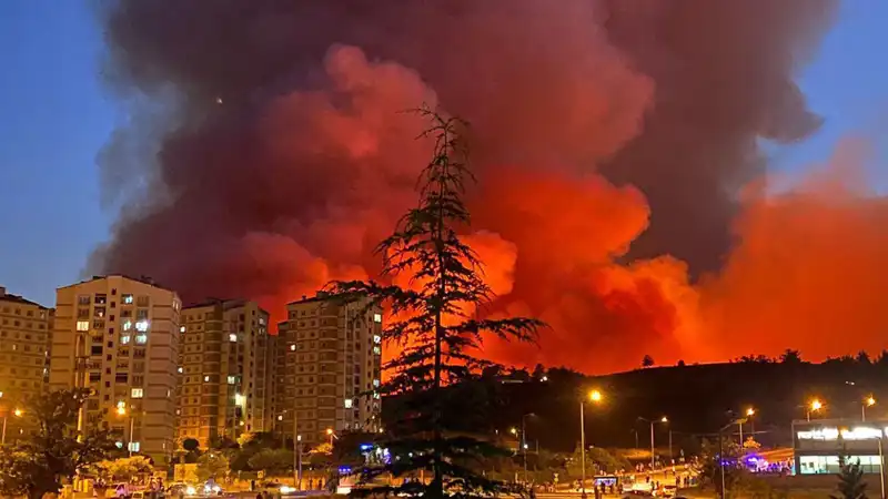 Bursa'da Yangın Alarmları! Şehri Saran Alevlerin Ardındaki Sebepler