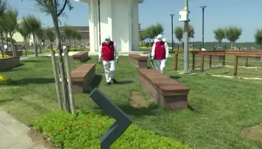Kene Tehditinde Artış: Halka Açık Alanlarda İlaçlama Başlatıldı