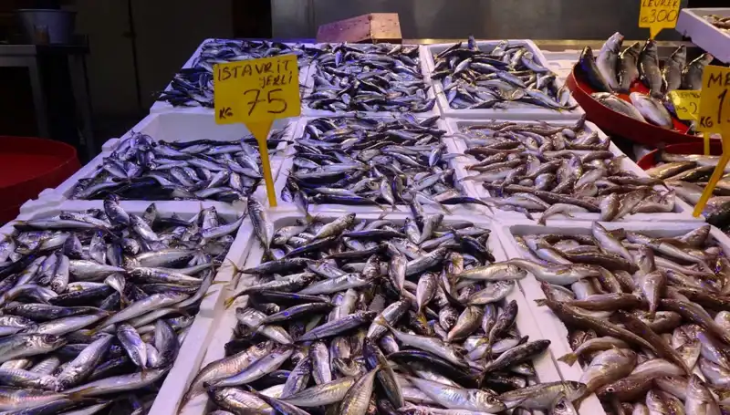 Balık Sezonu Kapanırken, Tutulan Balıkların Hedefleri Değişiyor